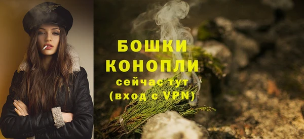 гидра Карпинск