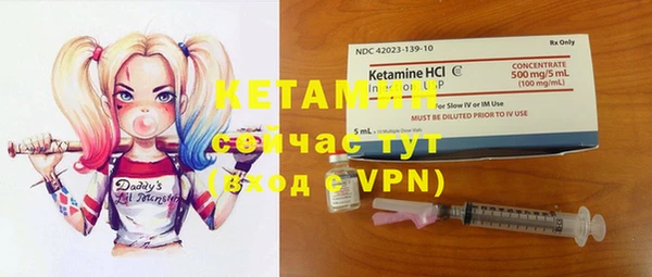 гидра Карпинск