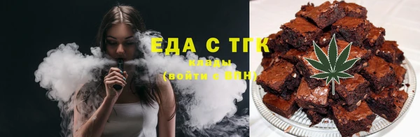 гидра Карпинск