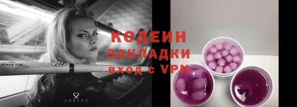 ГАЛЛЮЦИНОГЕННЫЕ ГРИБЫ Карталы
