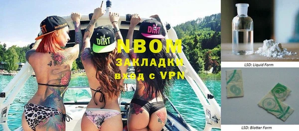ГАЛЛЮЦИНОГЕННЫЕ ГРИБЫ Карталы