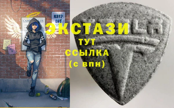 гидра Карпинск