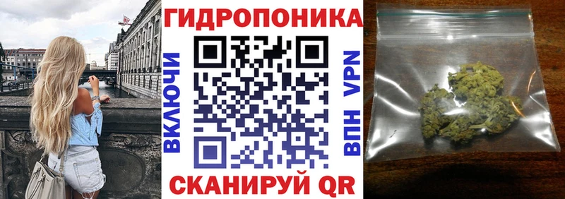 МАРИХУАНА OG Kush  Купить где  Грайворон 